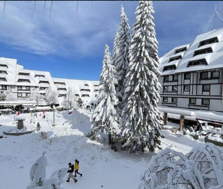 Tim 135 Konaci-Angella Centar Leilighet Kopaonik Eksteriør bilde